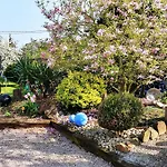 Ruhiges Mit Garten An Der Weinstrasse By Interhome Holiday home Scherwiller