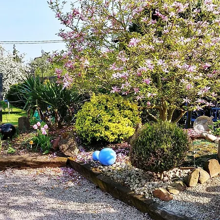 Ruhiges Mit Garten An Der Weinstrasse By Interhome Ferienhaus Scherwiller