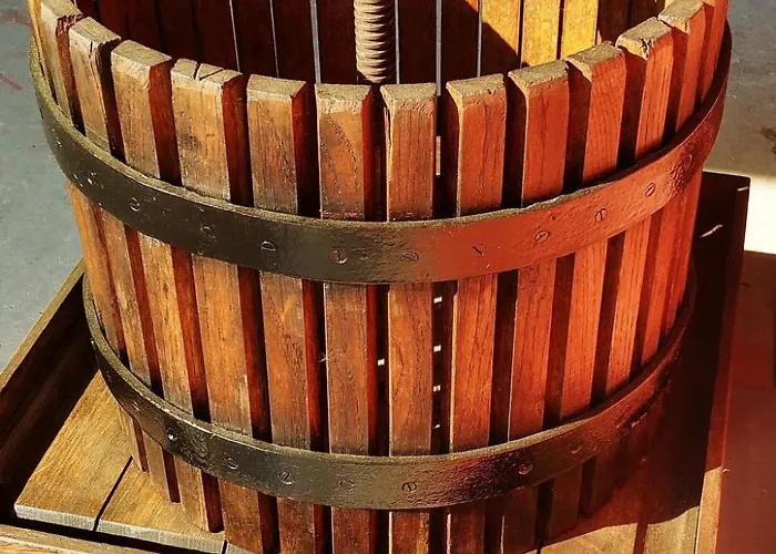 Ruhiges Mit Garten An Der Weinstrasse By Interhome Scherwiller