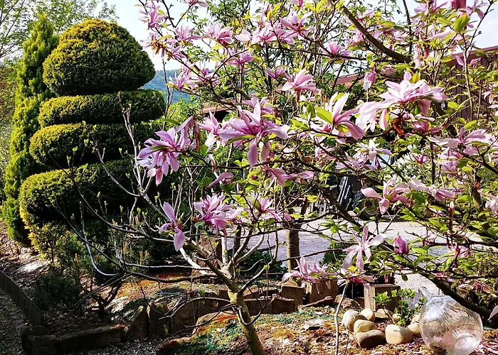 Ruhiges Mit Garten An Der Weinstrasse By Interhome Holiday home