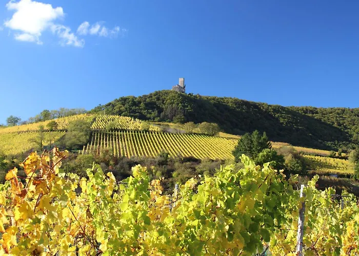 Ruhiges Mit Garten An Der Weinstrasse By Interhome Holiday home Scherwiller